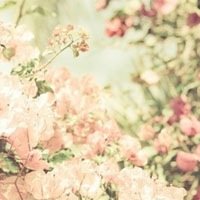 ﻨΨӰQQͷ(5)_WWW.AIGEXING.COM
