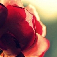 ﻨΨӰQQͷ(10)_WWW.AIGEXING.COM