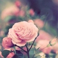 ﻨΨӰQQͷ(4)_WWW.AIGEXING.COM