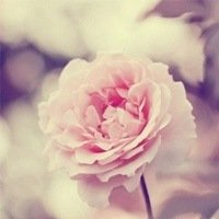 ﻨΨӰQQͷ(1)_WWW.AIGEXING.COM