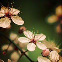 ﻨΨӰQQͷ(12)_WWW.AIGEXING.COM