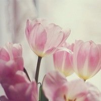 ﻨΨӰQQͷ(3)_WWW.AIGEXING.COM