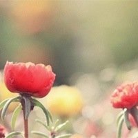 ﻨΨӰQQͷ(7)_WWW.AIGEXING.COM