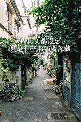 ָ飬Գ֮Ϊ