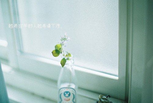 ˸аͼƬ(8)_WWW.AIGEXING.COM