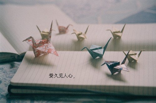˸аͼƬ(12)_WWW.AIGEXING.COM