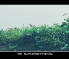 ָ㣬įԼǩȫ