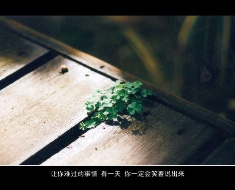 ûʲô ᲻Ư(1)_WWW.AIGEXING.COM