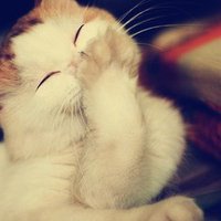 򵥵ȻĶĸͷ(9)_WWW.AIGEXING.COM