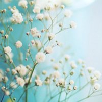 ˬСƬͷ(2)_WWW.AIGEXING.COM