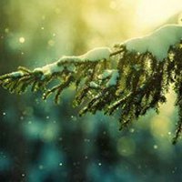 ˬСƬͷ(17)_WWW.AIGEXING.COM