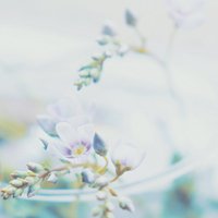 ˬСƬͷ(32)_WWW.AIGEXING.COM