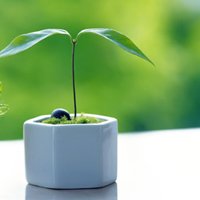 ŮճΨӰQQͷ(50)_WWW.AIGEXING.COM