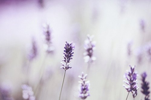 ɸһƬ 2015ΨͼƬ(10)_WWW.AIGEXING.COM