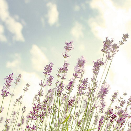 ɸһƬ 2015ΨͼƬ(5)_WWW.AIGEXING.COM