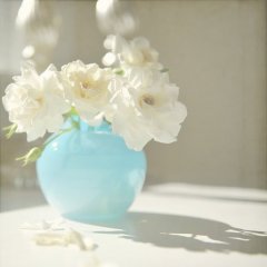 ĲƸһŮ˵