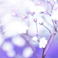ɾŵľ̬ͷ(20)_WWW.AIGEXING.COM