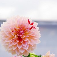 ɾŵľ̬ͷ(46)_WWW.AIGEXING.COM