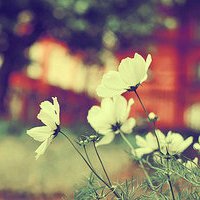 ɾŵľ̬ͷ(45)_WWW.AIGEXING.COM