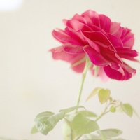 ɾŵľ̬ͷ(44)_WWW.AIGEXING.COM