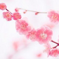 ɾŵľ̬ͷ(11)_WWW.AIGEXING.COM