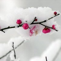 ɾŵľ̬ͷ(12)_WWW.AIGEXING.COM