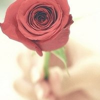 ɾŵľ̬ͷ(50)_WWW.AIGEXING.COM
