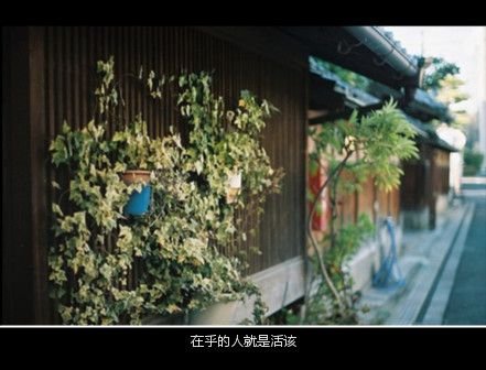 ŵˣ¡ʧ(2)_WWW.AIGEXING.COM