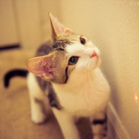 ƽĵĸͷ(7)_WWW.AIGEXING.COM