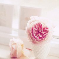 ƽĵĸͷ(1)_WWW.AIGEXING.COM