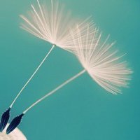 ƽĵĸͷ(25)_WWW.AIGEXING.COM