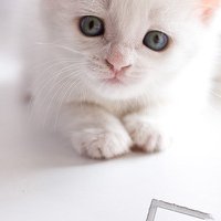 ƽĵĸͷ(6)_WWW.AIGEXING.COM