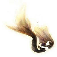 ೬ɰķͨͷ(7)_WWW.AIGEXING.COM