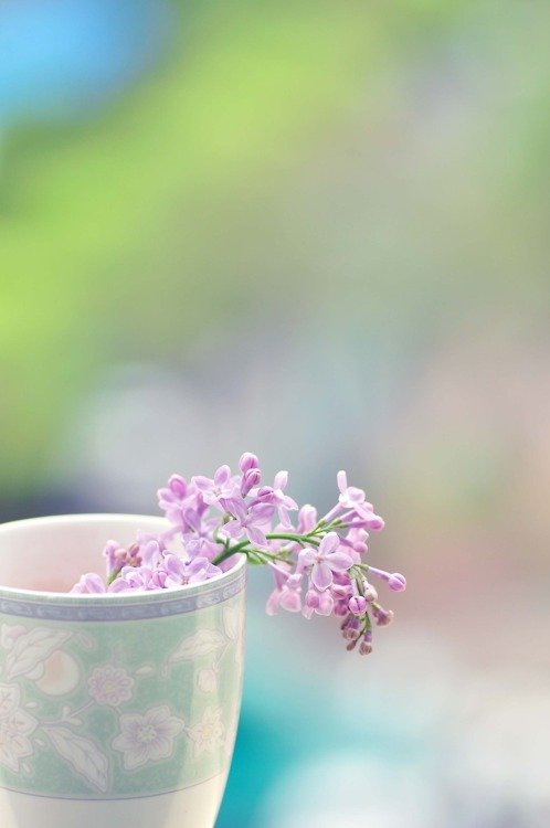 ֪˭뿪˭޷(1)_WWW.AIGEXING.COM