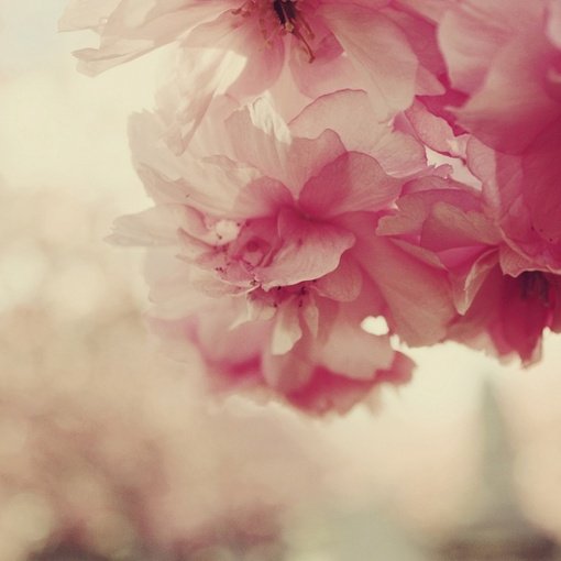 2015Ӣȫ(1)_WWW.AIGEXING.COM