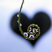 òƽʵĸͷ(39)_WWW.AIGEXING.COM