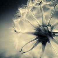 òƽʵĸͷ(31)_WWW.AIGEXING.COM