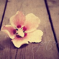 òƽʵĸͷ(10)_WWW.AIGEXING.COM