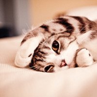 ɫָͷ(69)_WWW.AIGEXING.COM