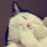 ɫָͷ(61)_WWW.AIGEXING.COM