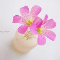 ֿɰȵܰͷ(12)_WWW.AIGEXING.COM