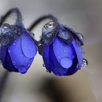 Ůܲ˵ĸɾΨͷ(18)_WWW.AIGEXING.COM