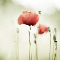 Ůܲ˵ĸɾΨͷ(12)_WWW.AIGEXING.COM