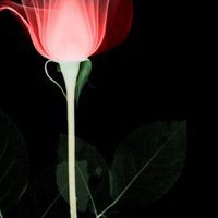 ĸͷ(5)_WWW.AIGEXING.COM
