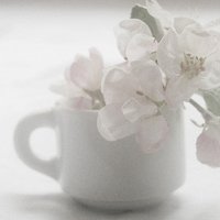ɫ򵥵¸ͷ(60)_WWW.AIGEXING.COM