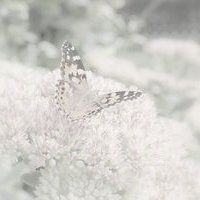 ɫ򵥵¸ͷ(52)_WWW.AIGEXING.COM