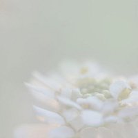 ɫ򵥵¸ͷ(9)_WWW.AIGEXING.COM