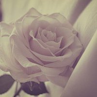 ɫ򵥵¸ͷ(46)_WWW.AIGEXING.COM