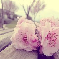 ʧĵİΨͷ(2)_WWW.AIGEXING.COM