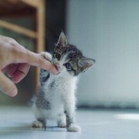 ʧĵİΨͷ(15)_WWW.AIGEXING.COM